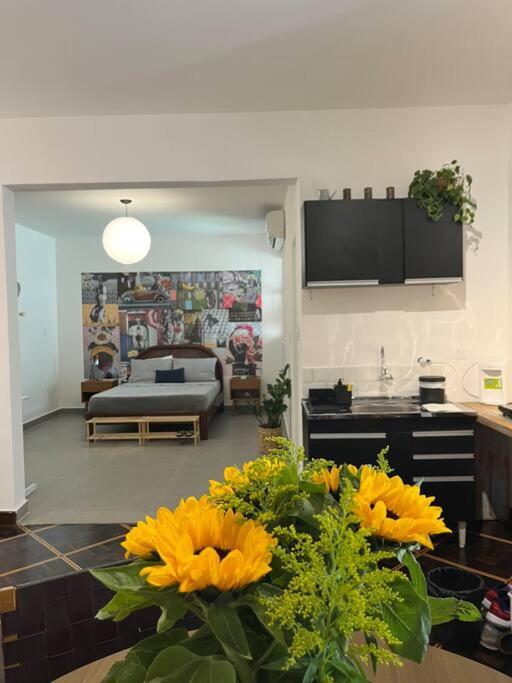 Studio Em Casa Ao Lado Do Parque. Casa 03. 상파울루 외부 사진